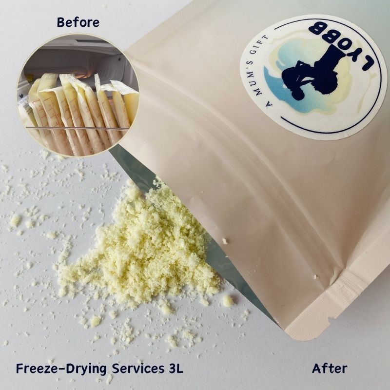 LyoBB 3L Breastmilk Freeze-Drying Services