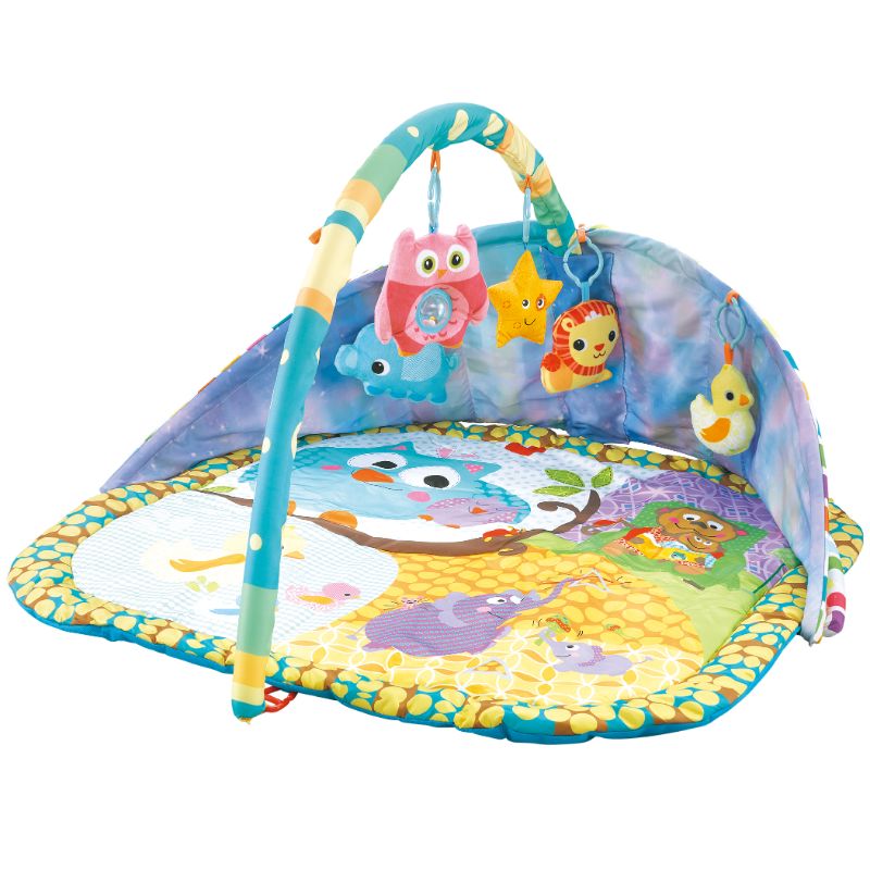 Lucky Baby 2 In 1 Sky Canopy Playgym