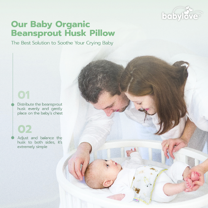 Babylove Organic Beansprout Husk Pillow
