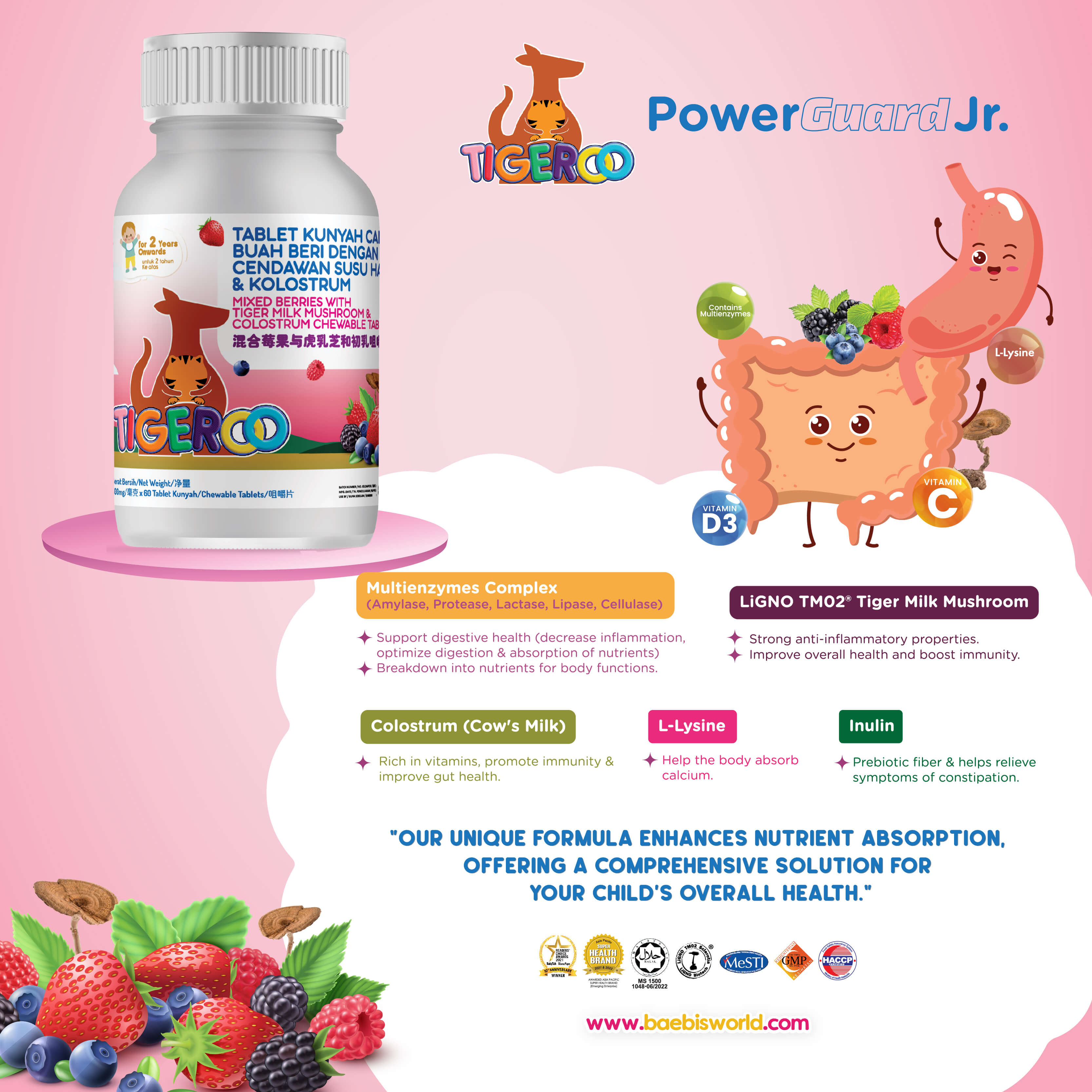 Baebis Tigeroo PowerGuard JR Mixed Berries 60pcs Chewables (Bundle of 3)