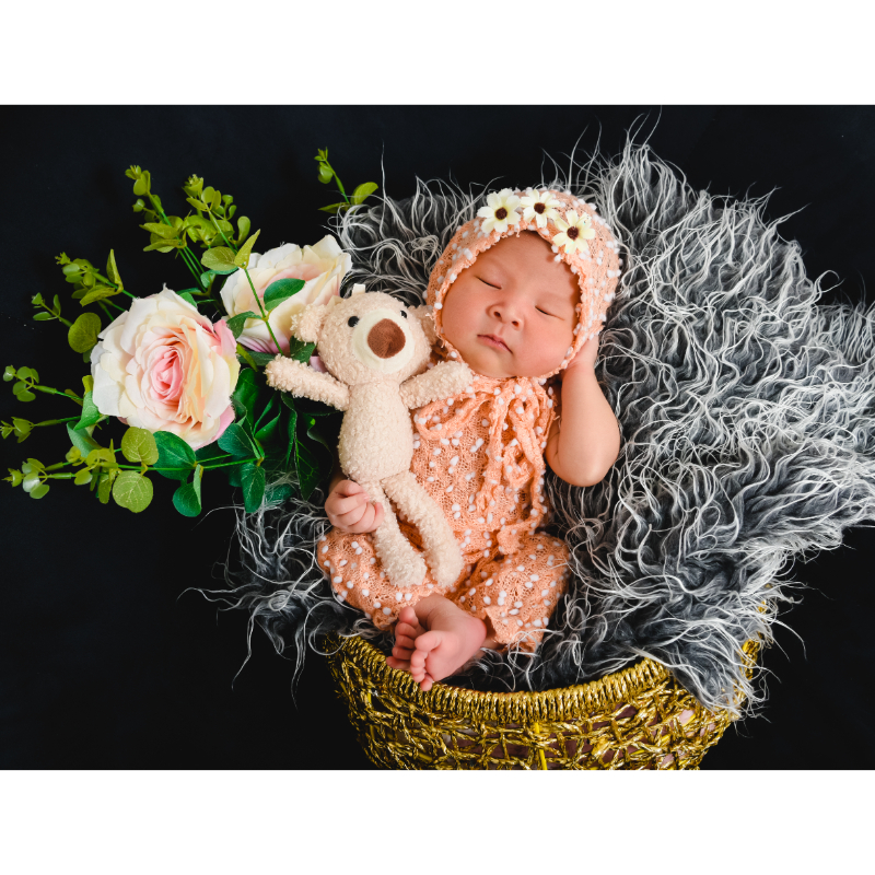 BigShot Photostudio Photo Packages
