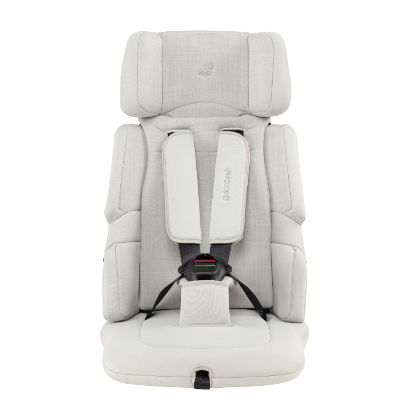 Daiichi Easy Carry 2 Car Seat