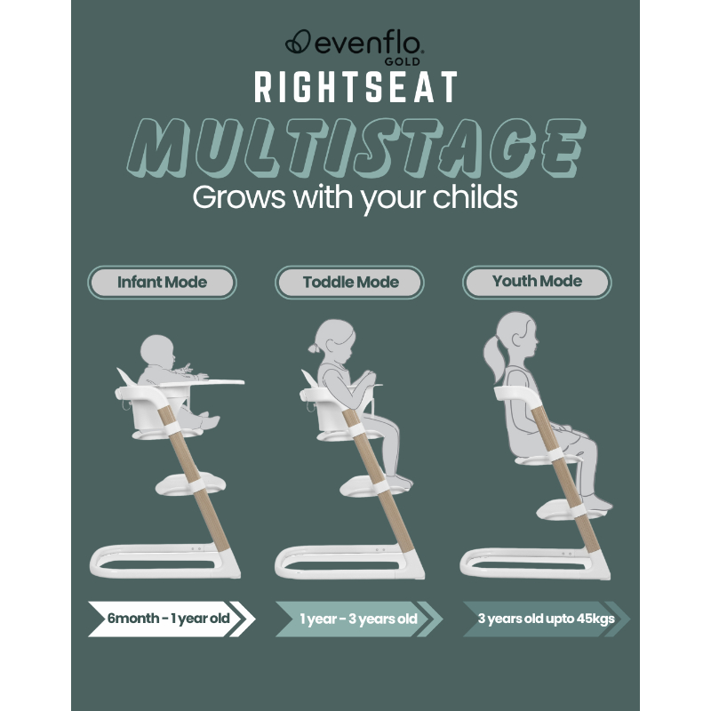 Evenflo Rightseat