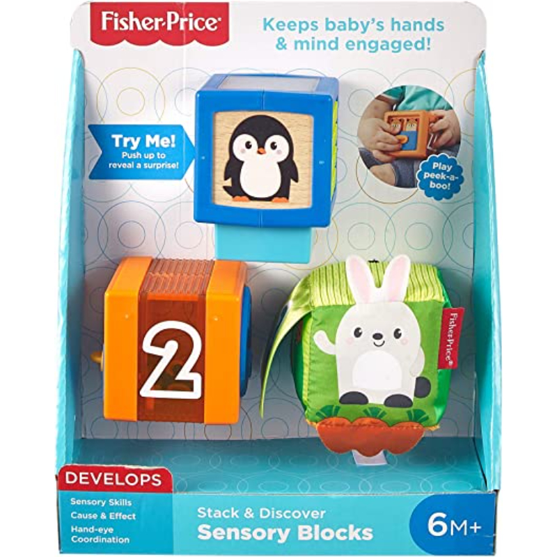 Fisher Price Infant Blocks