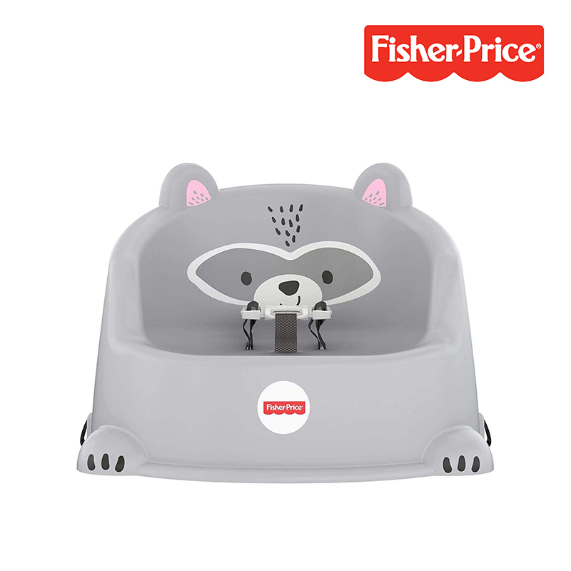 fisher price raccoon booster seat