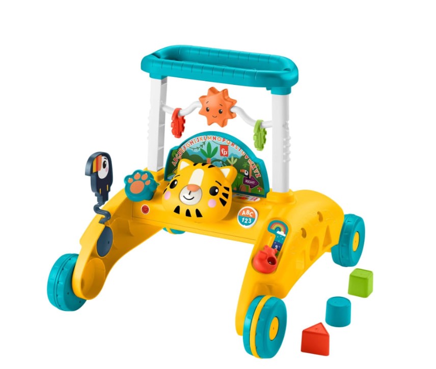 Fisher Price Infant 2-Sided Steady Speed 