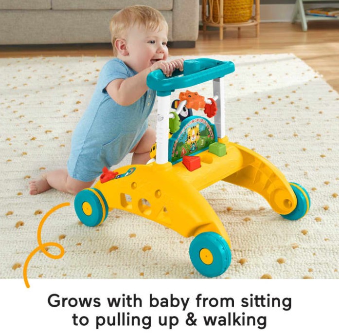 Fisher Price Infant 2-Sided Steady Speed