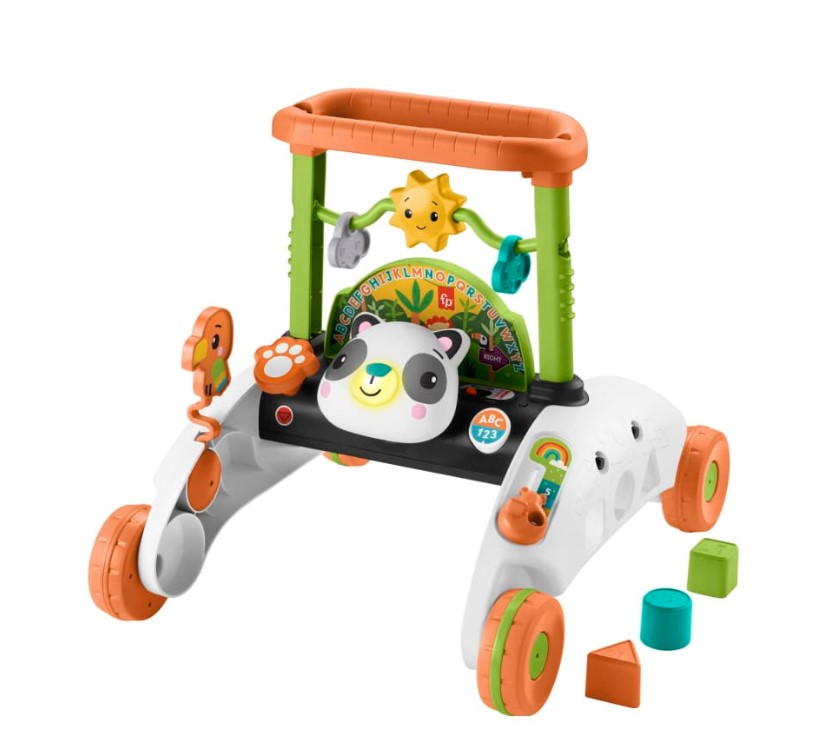 Fisher Price Infant 2-Sided Steady Speed