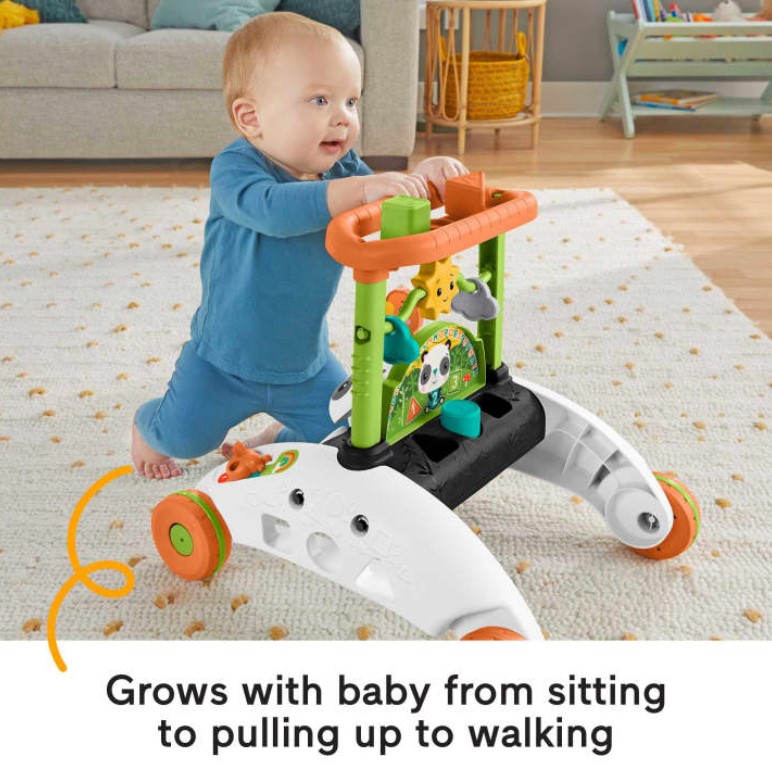 Fisher Price Infant 2Sided Steady Speed
