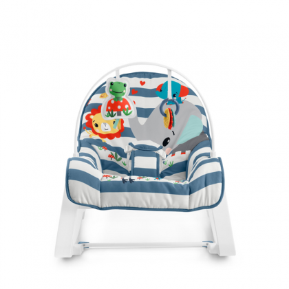 Fisher Price Infant To Toddler Rocker