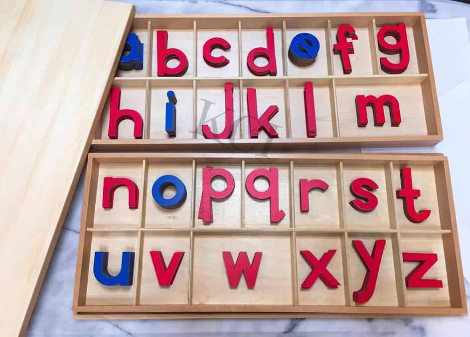 Montessori Large Moveable Alphabets