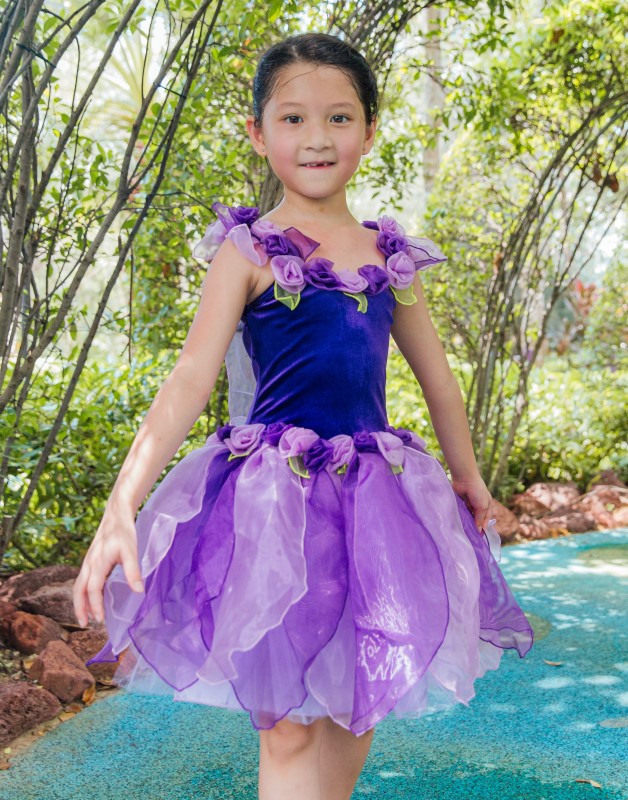Lil Fairies Suagr Plum Fairy Dress