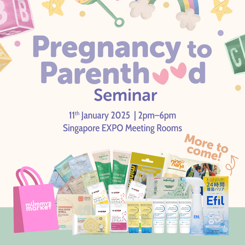 Mummys Market Pregnancy to Parenthood Seminar Ticket + $150 worth Goodie Bag