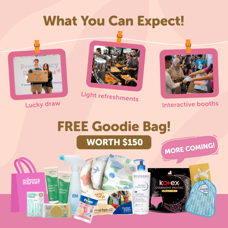 Mummys Market Pregnancy to Parenthood Seminar Ticket + $150 worth Goodie Bag