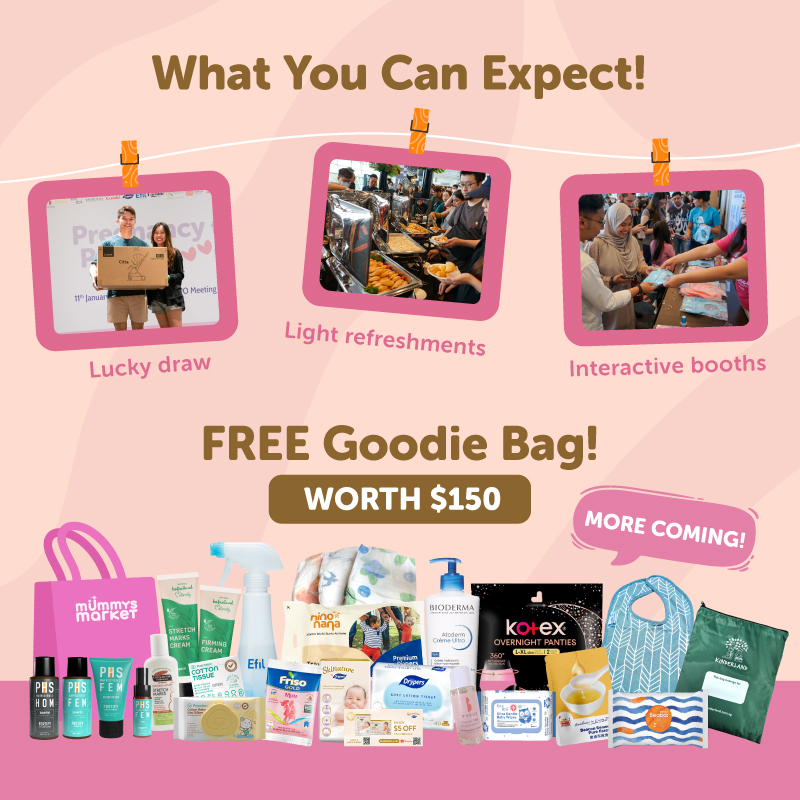 Mummys Market Pregnancy to Parenthood Seminar Ticket + $150 worth Goodie Bag