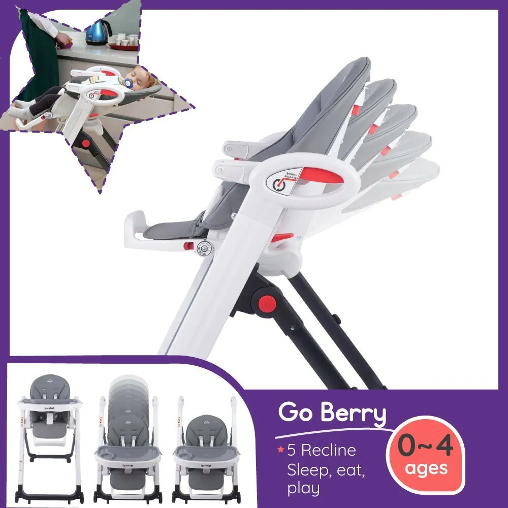 Quinton Go Berry Multifunction High Chair