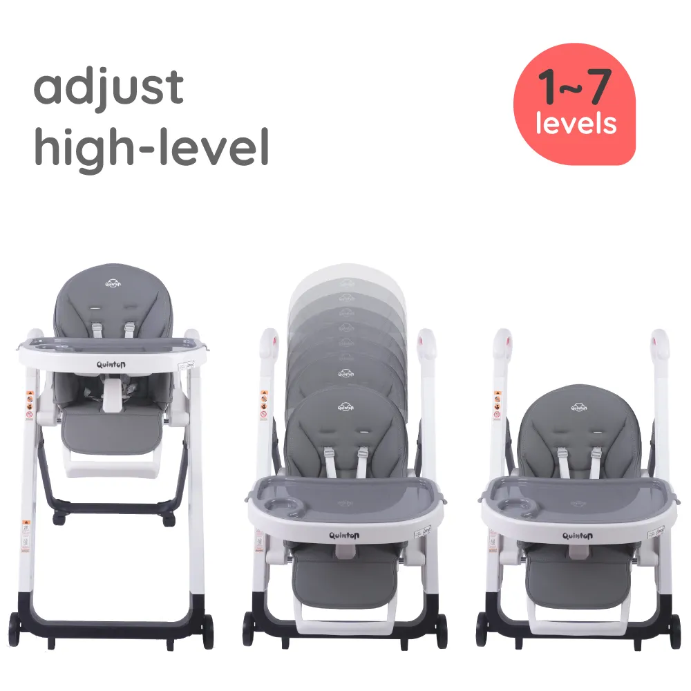 Quinton Go Berry Multifunction High Chair