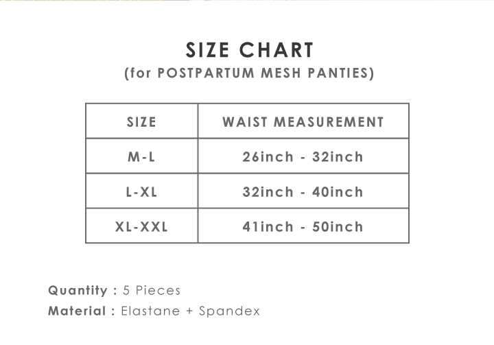 Shapee Postpartum Mesh Panties (5pcs) M-L White