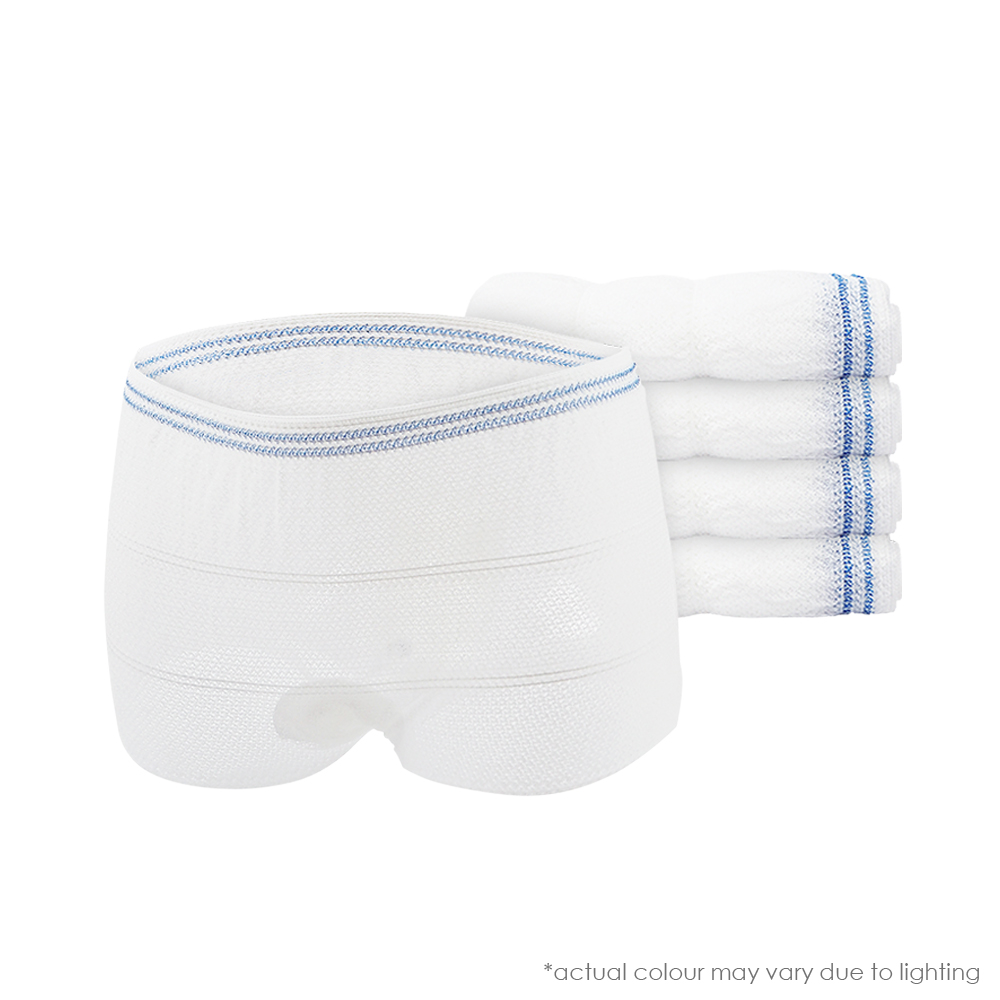 Shapee Postpartum Mesh Panties (5pcs) M-L White