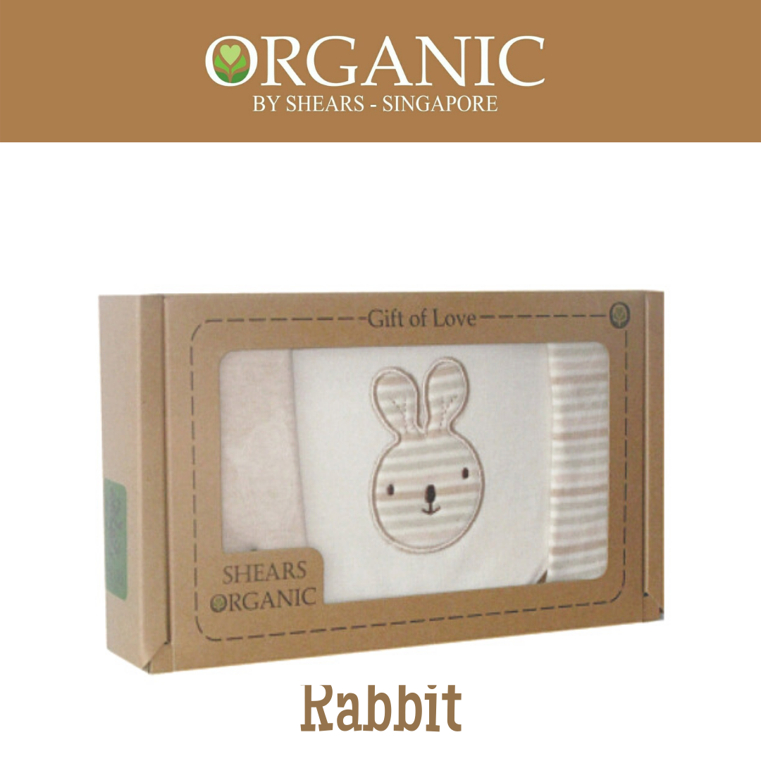 Shears Organic Baby Bibs Set Toddler Bib Set Rabbit (3 pcs)