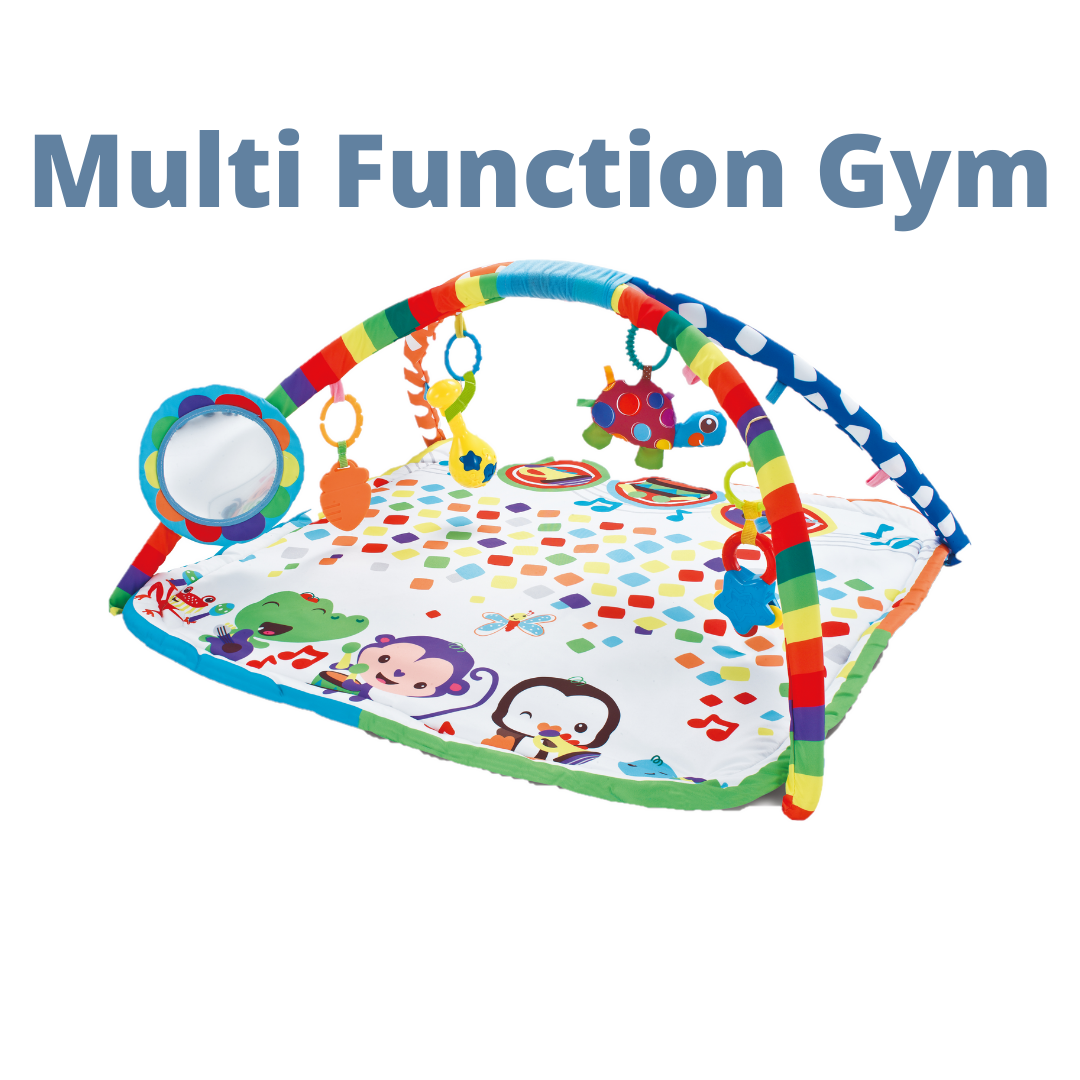 Shears Rectangle Multi Function Play Gym SPG8630