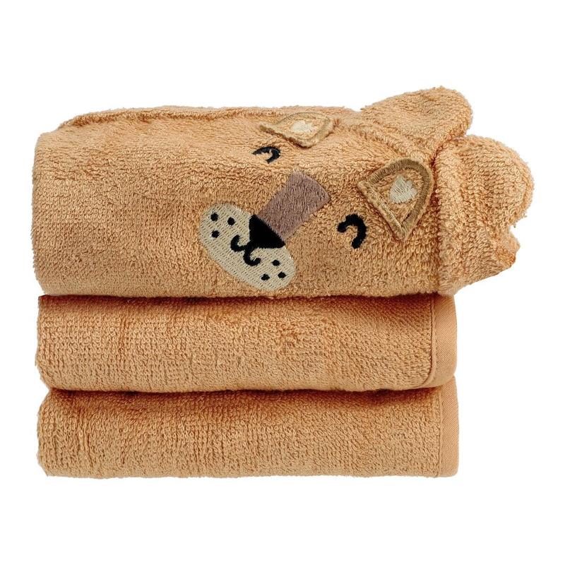 Snapkis Washcloth (V3) - Assorted Designs (Buy 1 Free 1)
