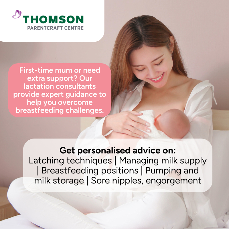 Thomson Parentcraft Centre 3 sessions of Weekday Lactation Consultation (At our centre)