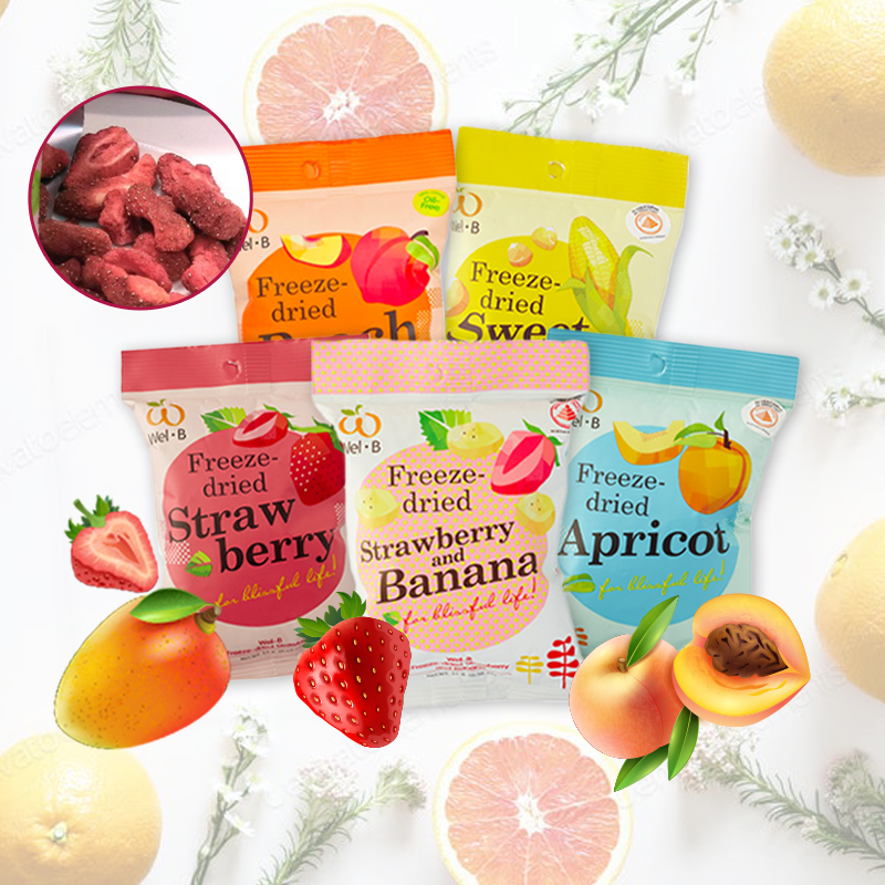 [Bundle of 4] Wel.B Freeze Dried Fruits (Pack of 6)