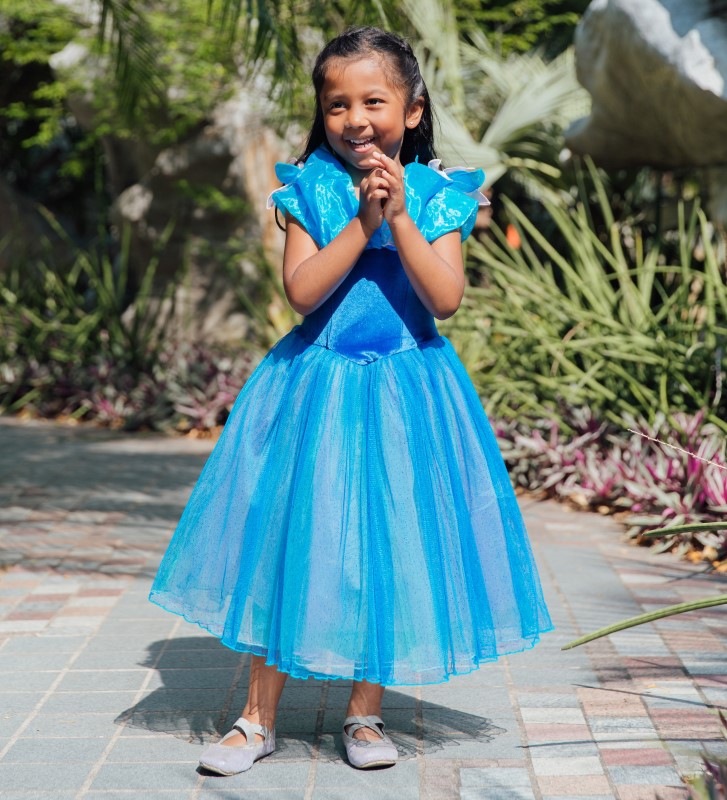 Lil Fairies Cinderella Gown 
