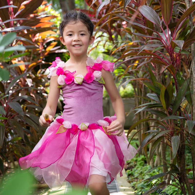 Lil Fairies Cherry Blossom Fairy Dress