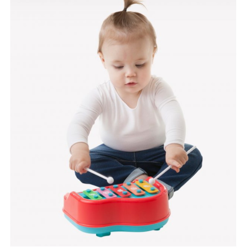 Playgro Music Class Xylophone Toy